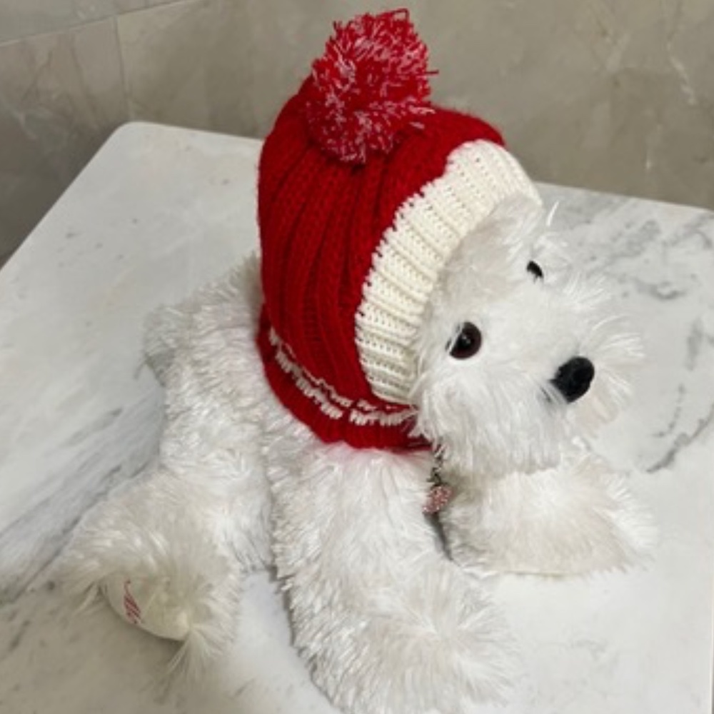 ๐ถ Knitted Pet Ski Hat ๐ถ